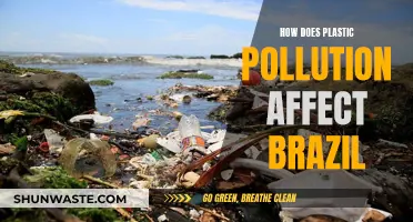 Plastic Pollution's Impact on Brazil's Environment