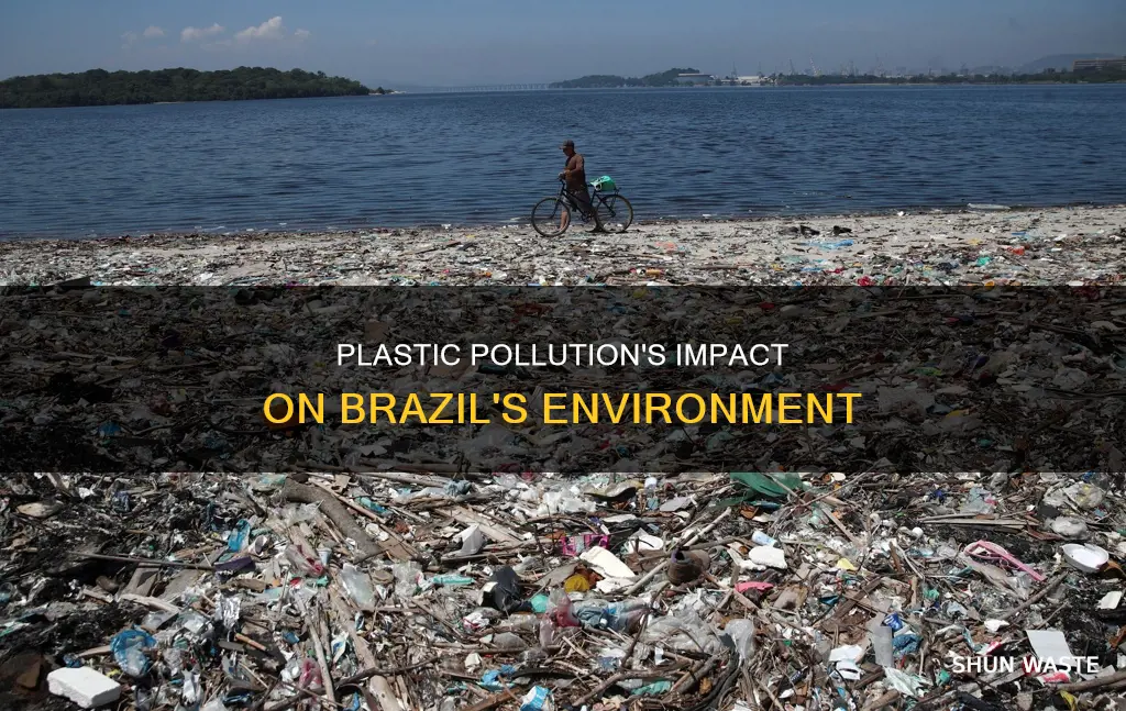 how does plastic pollution affect brazil