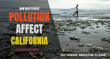 Plastic Pollution's Impact on California: Understanding the Crisis