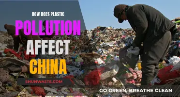 Plastic Pollution's Impact on China's Environment and Health