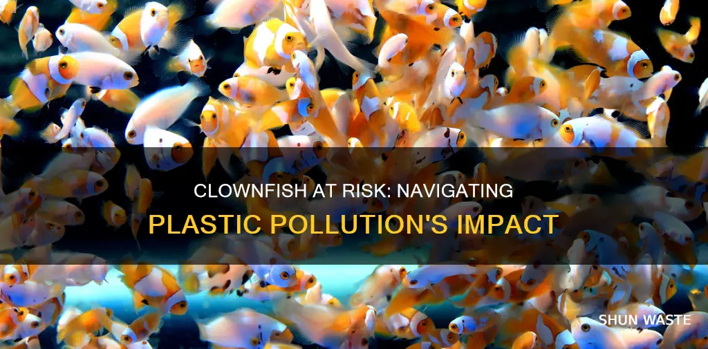 how does plastic pollution affect clownfish