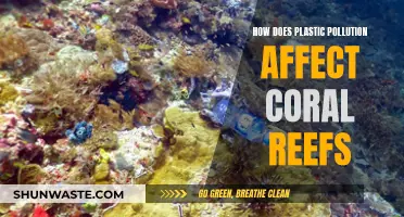 Plastic Pollution's Impact on Coral Reefs: A Deadly Threat