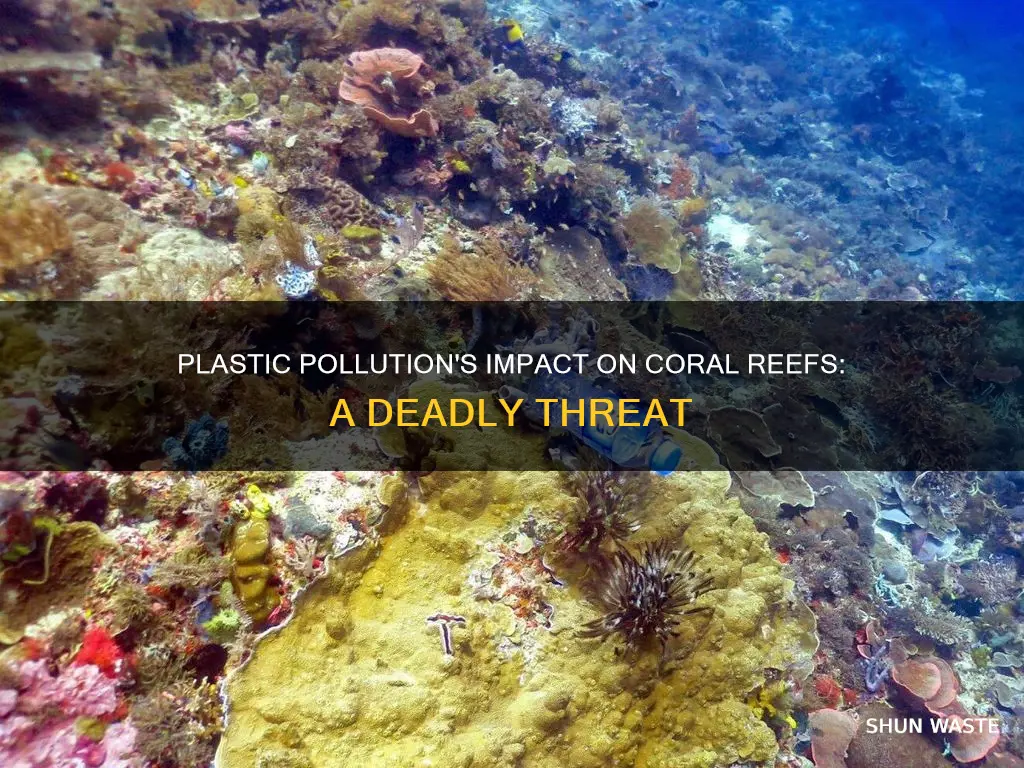 how does plastic pollution affect coral reefs