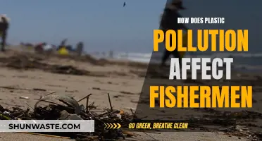 Plastic Pollution: Fishermen's Adversary in the Sea