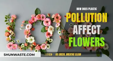 Plastic Pollution's Impact: Flowers Under Threat