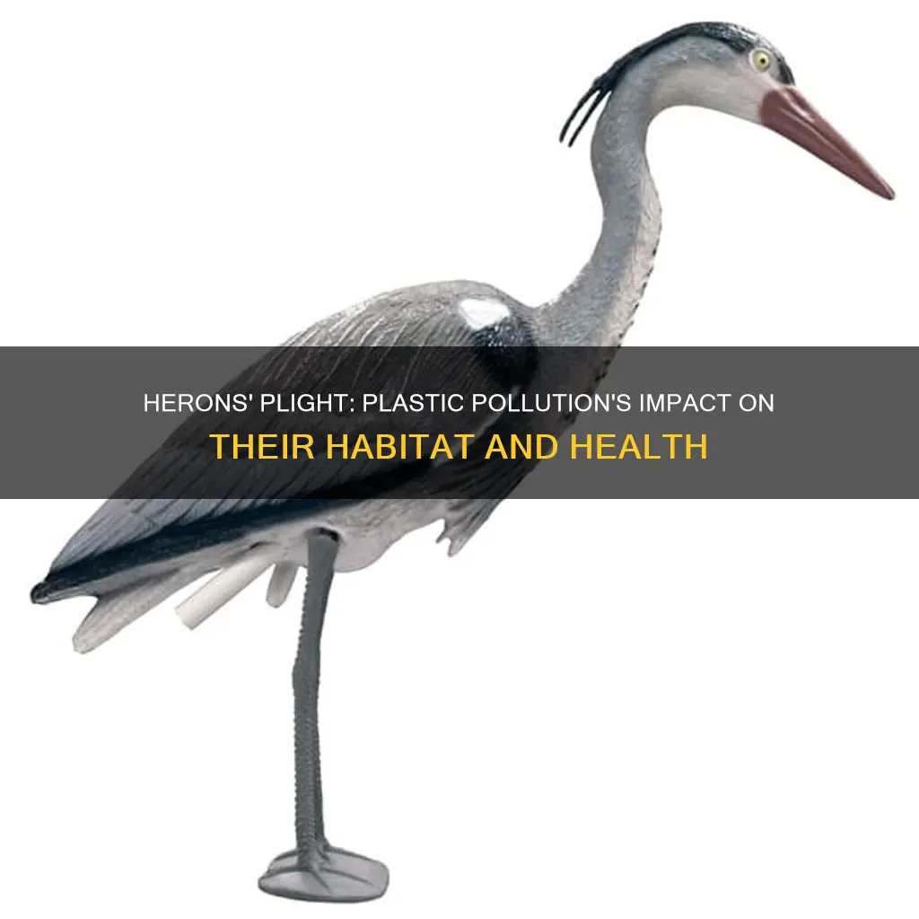 how does plastic pollution affect herons