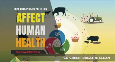 Plastic Pollution: Harming Humans and the Environment