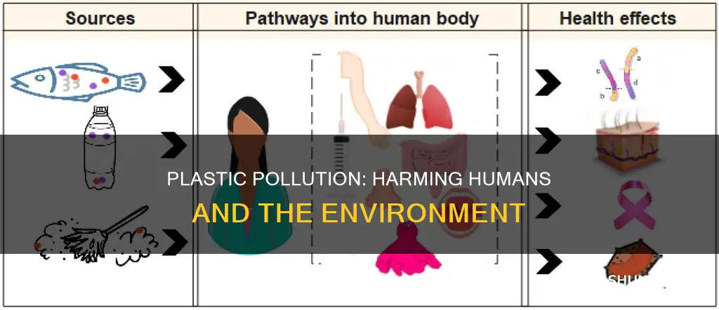 how does plastic pollution affect human health