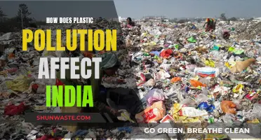 Plastic Pollution: India's Environmental Crisis