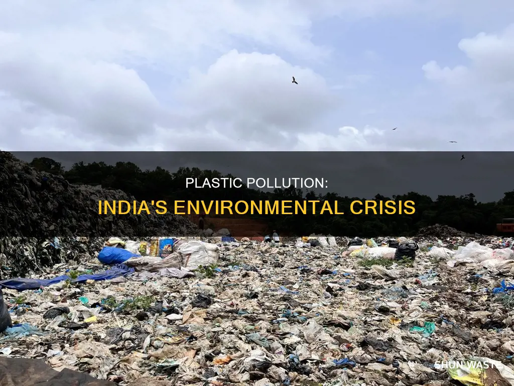 how does plastic pollution affect india