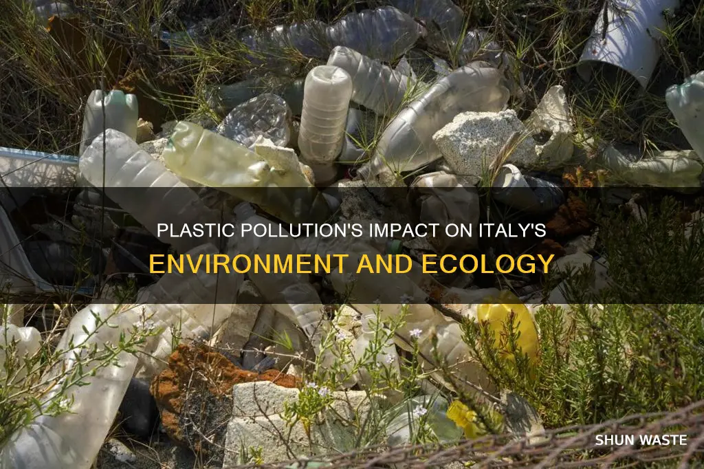 how does plastic pollution affect italy