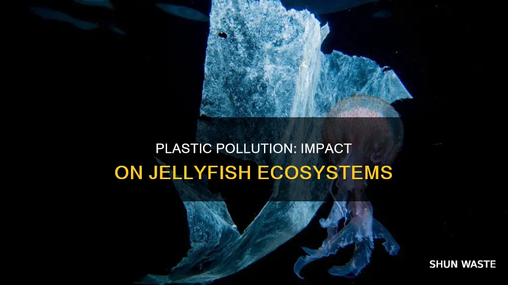 how does plastic pollution affect jellyfish