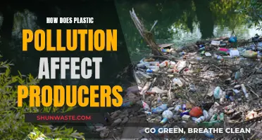 Plastic Pollution: A Threat to Producers' Survival