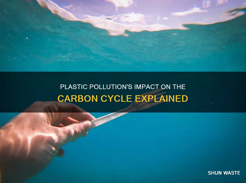 how does plastic pollution affect the carbon cycle