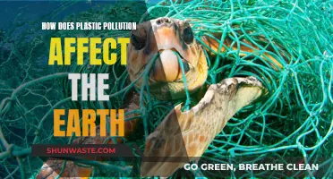 Plastic Pollution: Earth's Adversary and Our Legacy