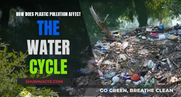 Plastic Pollution's Impact on the Water Cycle