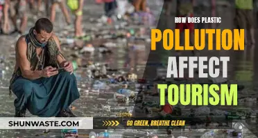 Plastic Pollution's Impact on Tourism Destinations