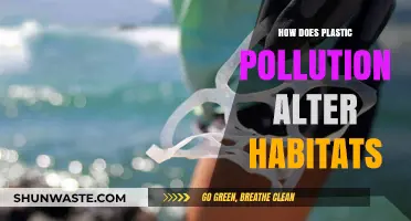 Plastic Pollution: Altering Habitats, Devastating Effects