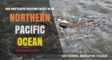 The Pacific Plastic Problem: How It Collects