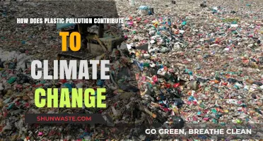 Plastic Pollution: Climate Change's Overlooked Culprit