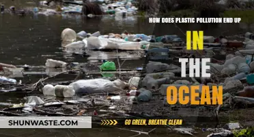 Plastic Pollution: Ocean's Silent Killers