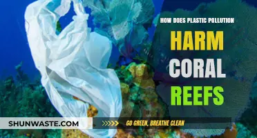 Plastic Pollution: Killing Coral Reefs
