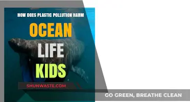 Ocean Life and the Plastic Pollution Threat