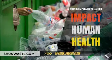 Plastic Pollution: Harming Human Health and the Environment