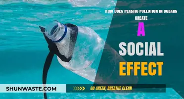 Plastic Pollution's Social Impact: Oceans in Crisis