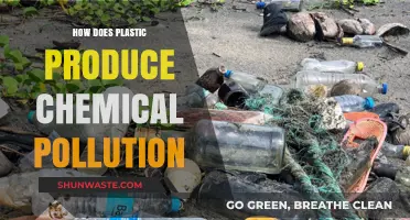 Plastic Pollution: The Chemical Fallout