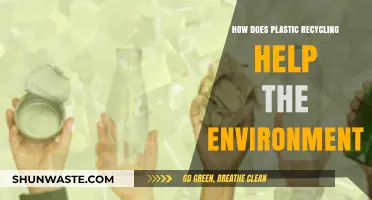 Plastic Recycling: A Sustainable Solution to Protect Our Environment
