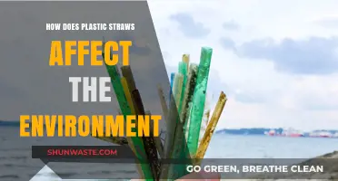 Plastic Straws' Environmental Impact: Harmful Effects and Sustainable Alternatives