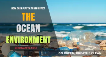 Plastic Pollution's Devastating Impact on Ocean Ecosystems and Marine Life