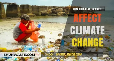 Plastic Waste's Impact: Accelerating Climate Change and Environmental Degradation