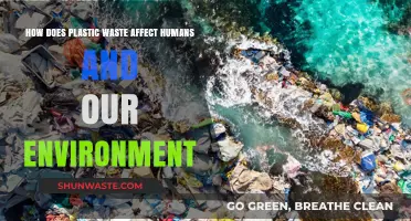 Plastic Waste Crisis: Devastating Human Health and Environmental Impacts Revealed
