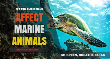 Plastic Pollution's Deadly Impact on Marine Life: A Growing Crisis