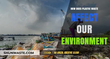 Plastic Pollution Crisis: Devastating Environmental Impacts and Urgent Solutions Needed
