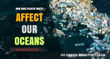 Plastic's Deadly Impact: How Ocean Waste Threatens Marine Life and Ecosystems