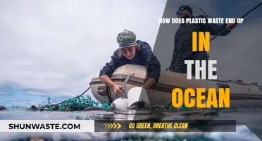 From Land to Sea: Tracing the Journey of Plastic Waste into Oceans