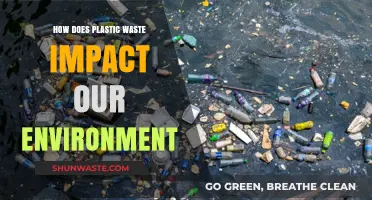 Plastic Pollution Crisis: Devastating Environmental Impacts and Urgent Solutions Needed