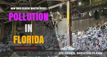 Florida's Plastic Pollution Crisis