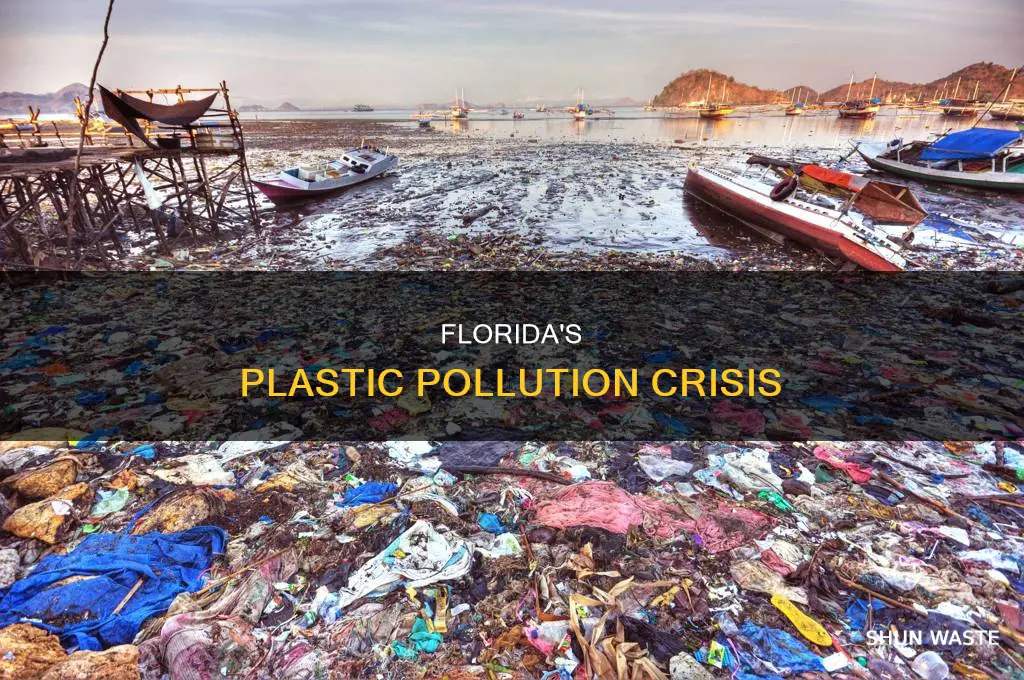how does plastic waster effect pollution in florida