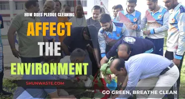 Pledge Cleaning Products: Environmental Impact and Sustainable Alternatives