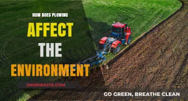 Plowing's Impact: Soil Health, Biodiversity, and Environmental Consequences Explored