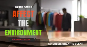 Plywood's Environmental Impact: Sustainability, Deforestation, and Eco-Friendly Alternatives