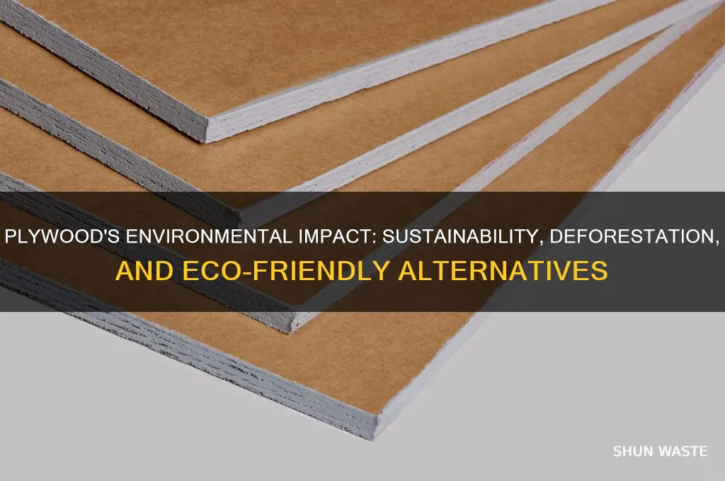 how does plywood affect the environment
