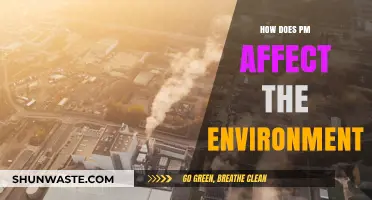 Particulate Matter's Impact: Environmental Consequences and Sustainable Solutions Explored