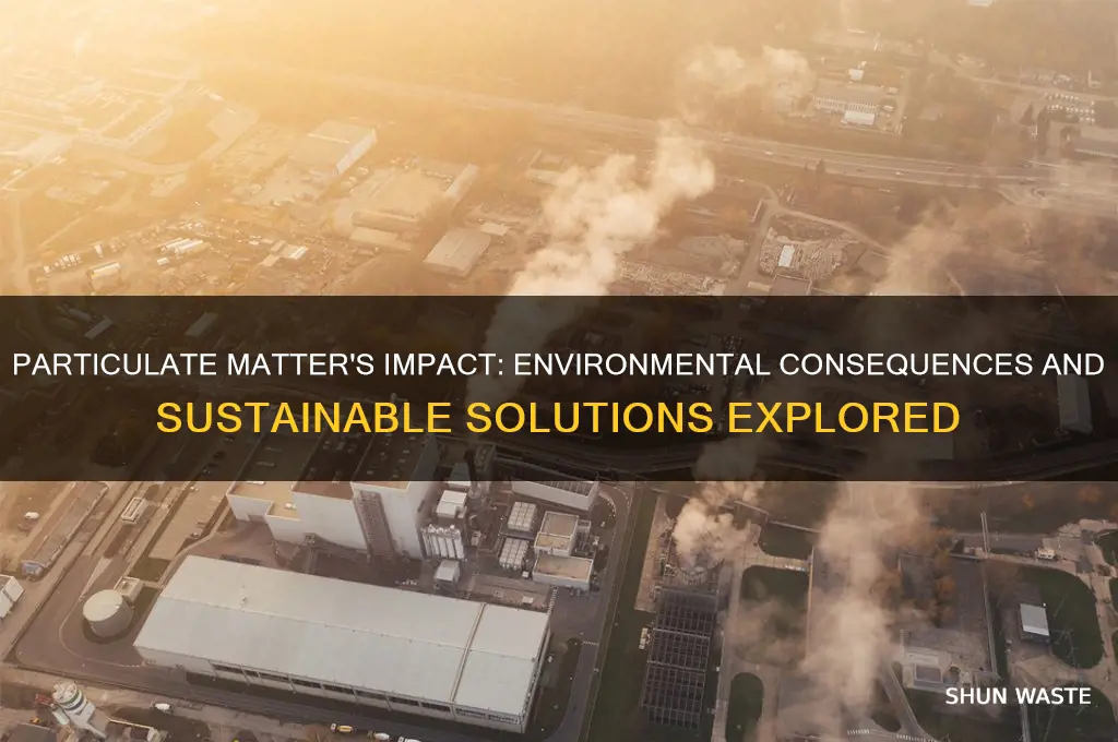 how does pm affect the environment
