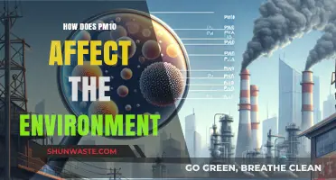 PM10's Environmental Impact: Air Quality, Health, and Ecosystem Consequences Explained