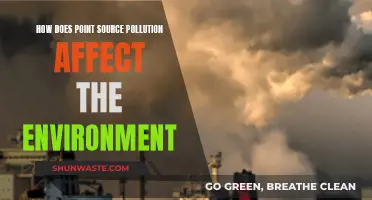 Point Source Pollution: Environmental Impact and Concerns